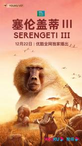 塞伦盖蒂 第三季 Serengeti Season 3