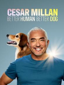 西泽教官狗主人训练班 第2-3季 Cesar Millan: Better Human Better Dog Season 2