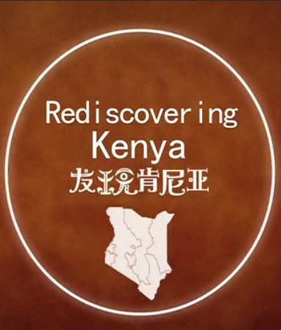 发现肯尼亚 Find Kenya的海报