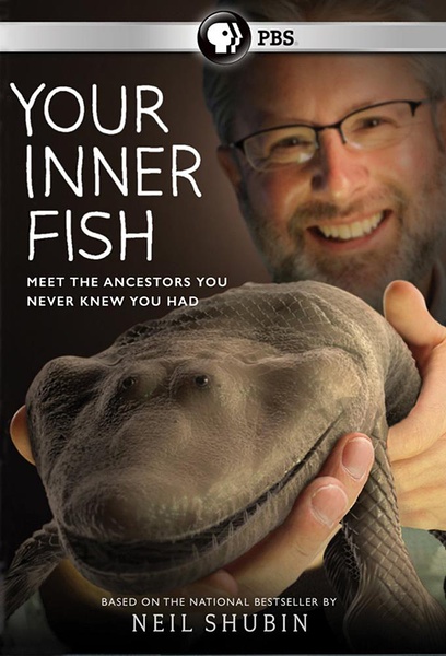你体内的鱼 Your Inner Fish的海报