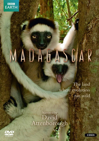 马达加斯加 Madagascar的海报