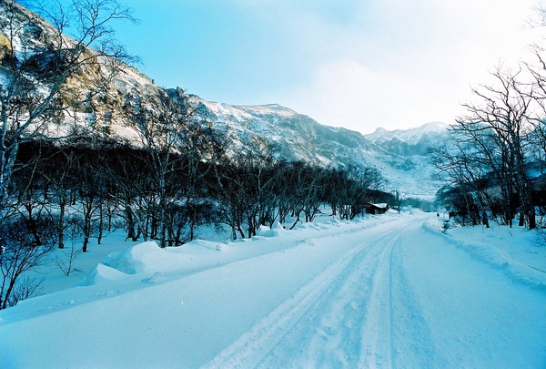 长白山 Mount Paektu的海报