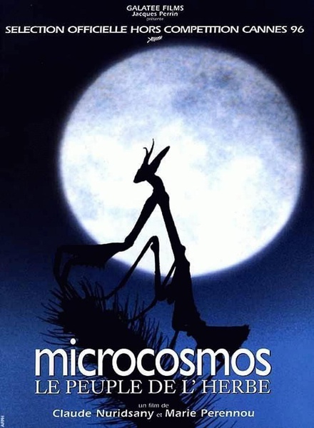 微观世界 Microcosmos: Le peuple de l'herbe的海报
