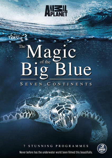 奇幻蔚蓝海 Magic of the Big Blue的海报