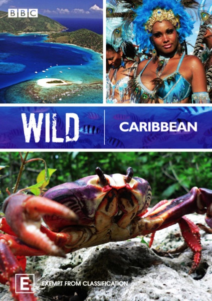野性加勒比 Wild Caribbean的海报