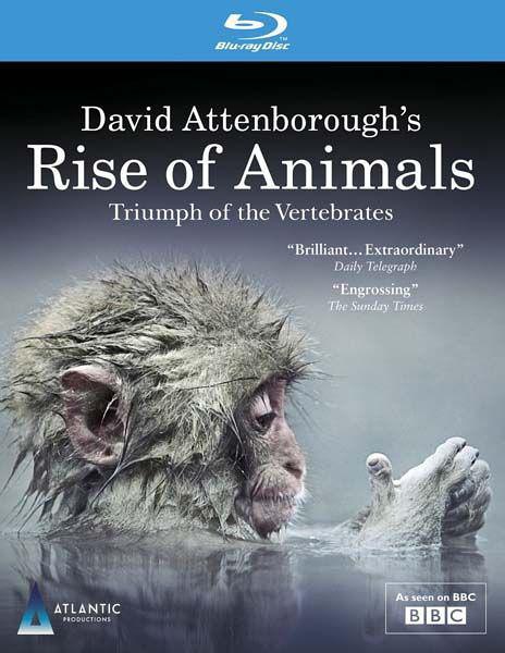 动物的崛起  David Attenborough's Rise of Animals的海报