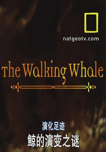 演化足迹 National Geographic Evolutions的海报