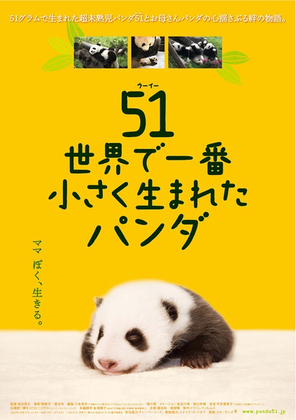 大熊猫51的故事 世界で一番小さく生まれたパンダ的海报