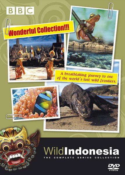 野性印尼 Wild Indonesia的海报