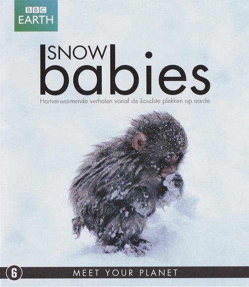 冰上动物宝宝 Snow Babies的海报