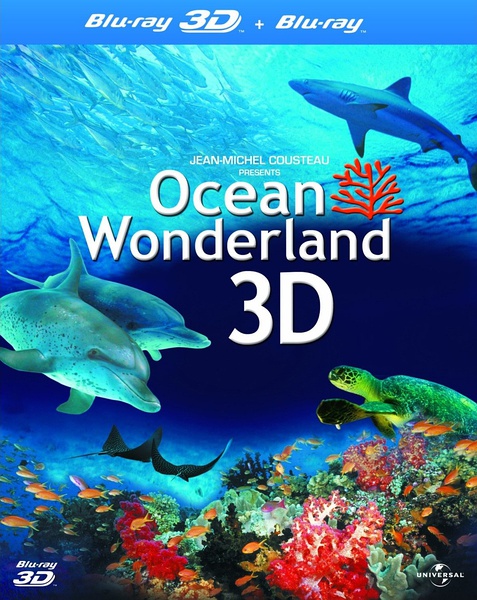 神奇的海洋 Amazing Ocean 3D的海报