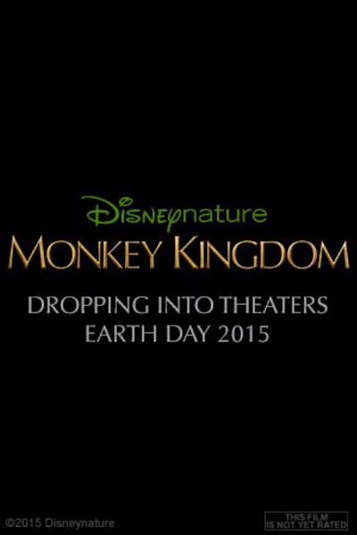 猴子王国 Monkey Kingdom的海报