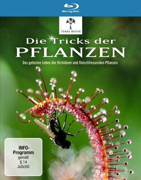 植物的秘密武器 植物也坏坏/Die Tricks der Pflanzen的海报