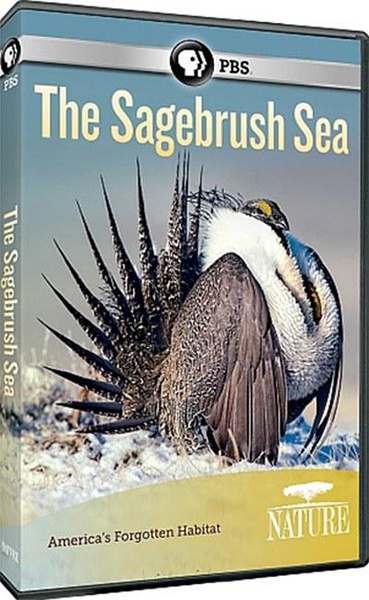 艾灌海洋 The Sagebrush Sea的海报