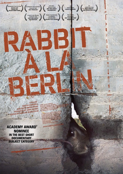 柏林墙的野兔 Rabbit 的海报