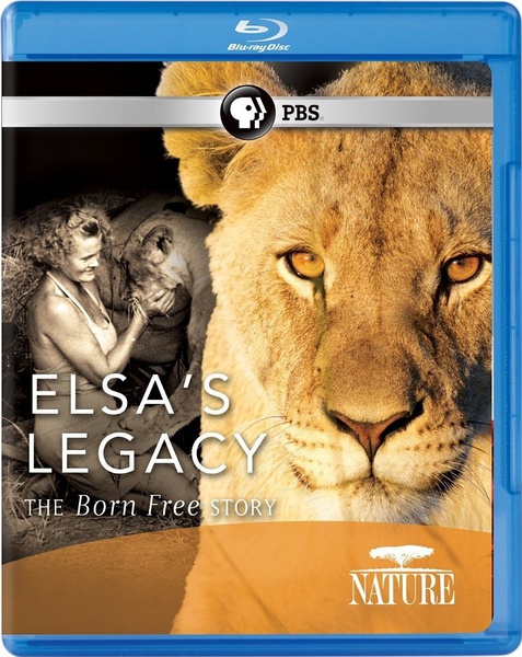 自然 - 艾尔莎的遗产：生而自由的故事 PBS: Nature - Elsa's Legacy: The Born Free Story的海报