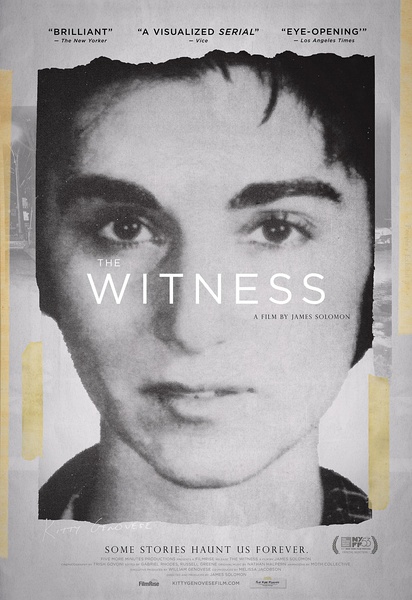 沉默的证人 The Witness的海报