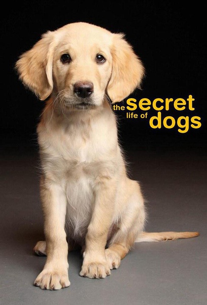 狗的秘密生活 Secret Life of Dogs的海报
