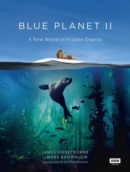 蓝色星球 2 Blue Planet II 全7集的海报