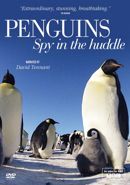 企鹅群里有特务 Penguins的海报