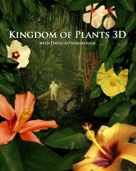 植物王国 Kingdom of Plants 3D的海报