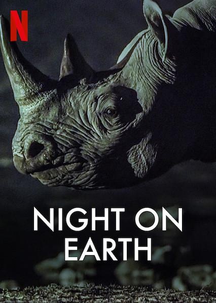 地球的夜晚 Night on Earth 的海报