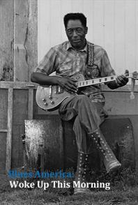 美国蓝调 Blues America