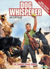 狗语者 精选 Dog Whisperer with Cesar Millan