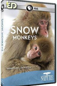 雪猿 Nature snow monkeys
