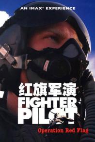 红旗军演 Fighter Pilot