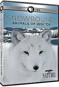 冰雪大地：冬季生灵 Nature Snowbound Animals of Winter的海报