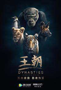 王朝 Dynasties的海报