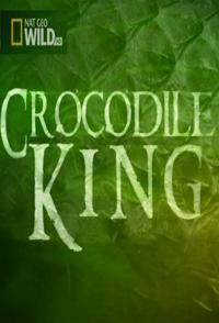 鳄鱼之王 Crocodile King的海报