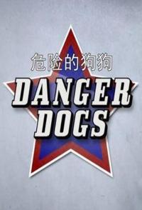 危险的狗狗 Danger Dogs的海报