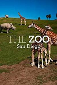 圣地亚哥动物园 第一季 The Zoo：San Diego的海报