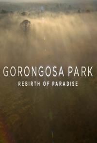 戈龙戈萨国家公园  Gorongosa Park的海报