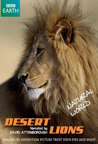 沙漠狮 Desert Lions的海报