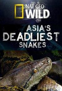 亞洲毒蛇之最 Asia's Deadliest Snakes的海报