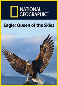 鹰天空的女王 Eagle Queen of the Skies的海报