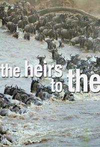 方舟后裔 The Heirs to the Ark的海报