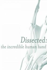 剖析手足：不可思议的人体 Dissected The Incredible Human的海报
