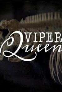 毒蛇女王  Viper Queens的海报