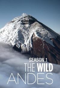 安第斯山脉  The Wild Andes的海报