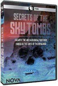 天墓的秘密 Secrets of the Sky Tombs的海报