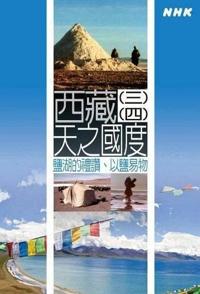 西藏：天之国度 西藏：天之国度的海报