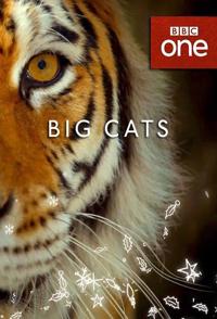 大猫 全三集 Big Cats的海报