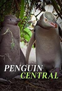 探秘企鹅王国 Penguin Central的海报