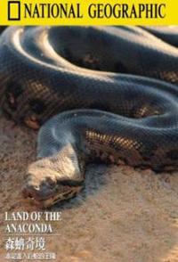 森蚺奇境 Land.of.the.Anaconda的海报