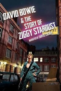 大宝和火星蜘蛛们的故事 David Bowie and the Story of Ziggy Stardust的海报