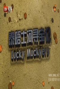 泰晤士河寻宝记 Lucky Muckers的海报